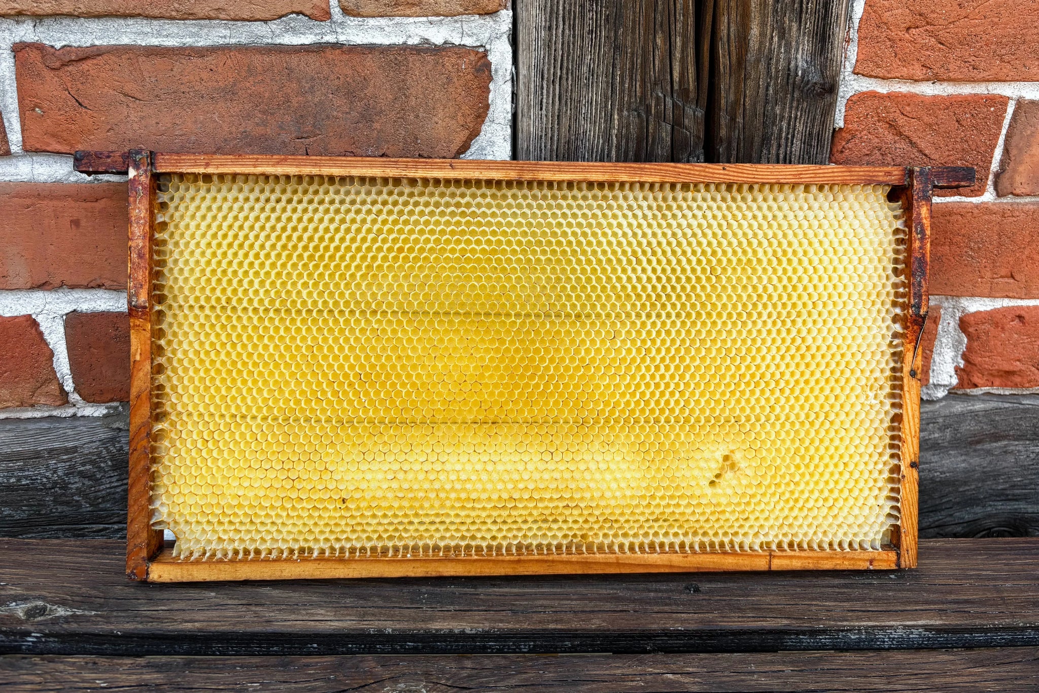 Woher kommt das Bienenwachs? Mein Tag beim Imker