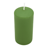Stumpenkerze Aloe Vera, 120/58 mm, Wiedemann, Brenndauer 51h