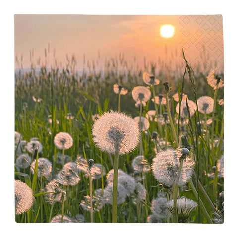 Lunchservietten „Dandelion Clock“, 33x33 cm, 3-lagig, Home Fashion®, 20 Stück - luterne.shop