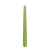 12 CLASSIC Spitzkerzen Olive, 250/23 mm, WENZEL, 8h