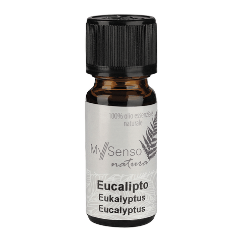 Ätherisches Duftöl Eucalyptus, My Senso, 10 ml