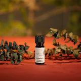 Ätherisches Duftöl, Eucalyptus, My Senso Natura, 100% natürlich, 10 ml - luterne.shop