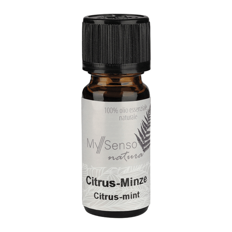 Ätherisches Duftöl Zitrus-Minze, My Senso, 10 ml