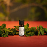 Ätherisches Duftöl, Minze, My Senso Natura, 100% natürlich, 10 ml - luterne.shop