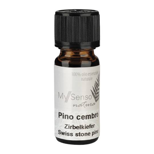 Ätherisches Duftöl Zirbelkiefer, My Senso, 100% natürlich, 10 ml