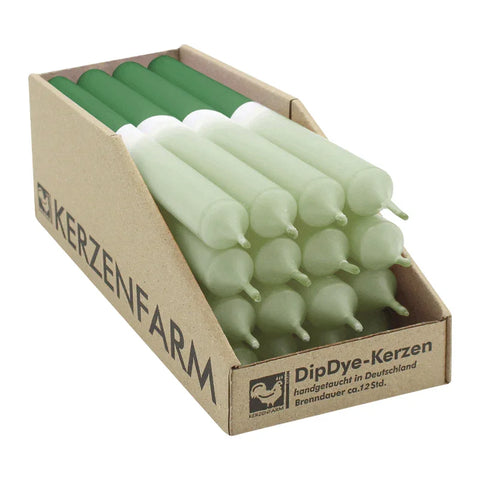 DIP DYE Stabkerzen Salbei-Pinie, 250/22 mm, KERZENFARM HAHN, 12h, 16 St.