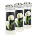 JEKA-Motivkerze "Calla", 100% Pflanzenöl, Brenndauer bis 7 Tage, 75/215 mm, 3 St.