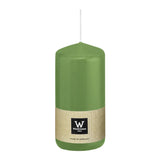 Stumpenkerze aus Paraffin, Aloe Vera, Wiedemann, 200/78 mm, Brenndauer ca. 119h - luterne.shop