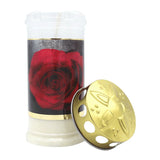 MEMORIAM-Motivkerze „Gold Rose", Nr. 417, AETERNA, mit Golddeckel, 75/170 mm, 30% Ölgehalt, Brenndauer 4 Tage, Lieferumfang 3 Stück, Grabkerzen - luterne.shop