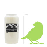 MEMORIAM-Kompositionsöllicht, Weiß, Nr. 733, AETERNA, 30% Ölgehalt, Brenndauer ca. 6 Tage, 136/68 mm, Karton mit 20 Stück - luterne.shop