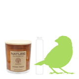 NATURE EARTH, Duftkerze im Glas, Nordic Trees, 100% NATURAL WAX, 85/70 mm, Brenndauer ca. 25h - luterne.shop