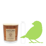 NATURE EARTH, Duftkerze im Glas, Rain Forest, 100% NATURAL WAX, 85/70 mm, Brenndauer ca. 25h - luterne.shop