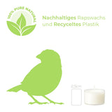 100% PURE NATURE LIGHTS, vegane Teelichter mit 100% Rapswachsfüllung, Brenndauer ca. 7h, 24/38 mm, 40 Stück pro Verpackung - luterne.shop