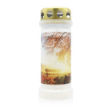 BOLSIUS-Motivkerze "Herbst", 67/173 mm, Brenndauer ca. 60h, Lieferumfang 3 Stück, Grabkerzen - luterne.shop